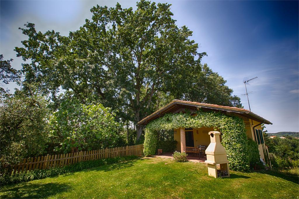 Podere Sant'Antonio Fauglia Exterior photo