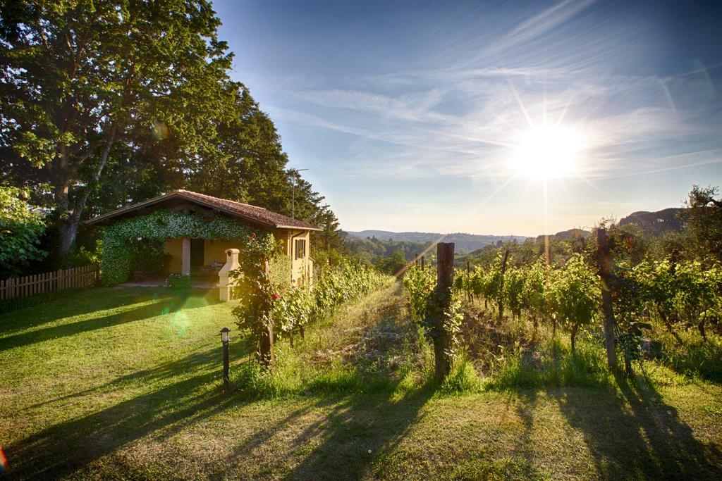 Podere Sant'Antonio Fauglia Exterior photo