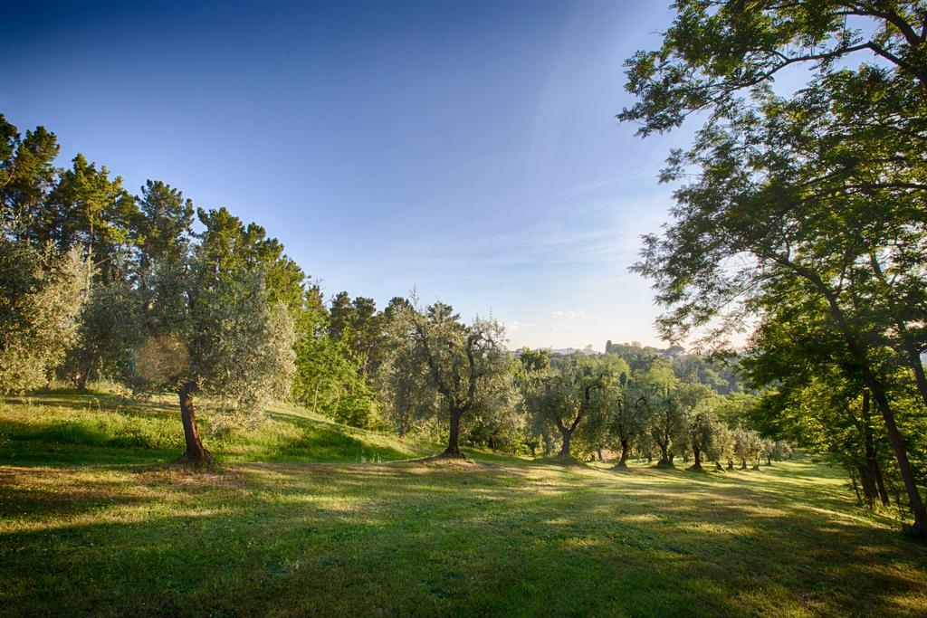 Podere Sant'Antonio Fauglia Exterior photo